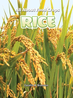 cover image of Rice